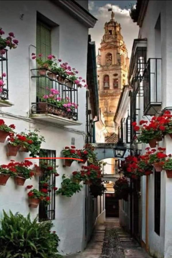 Casa Isa Appartamento Cordova Esterno foto